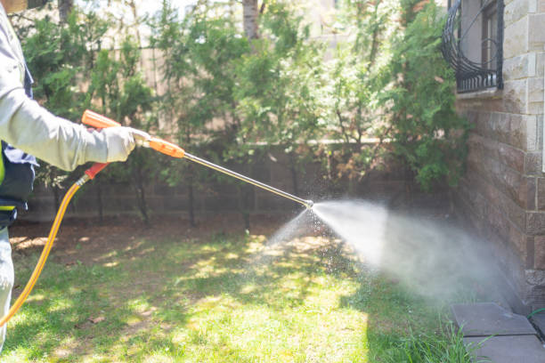 Best Residential Pest Control  in Bruce, MS